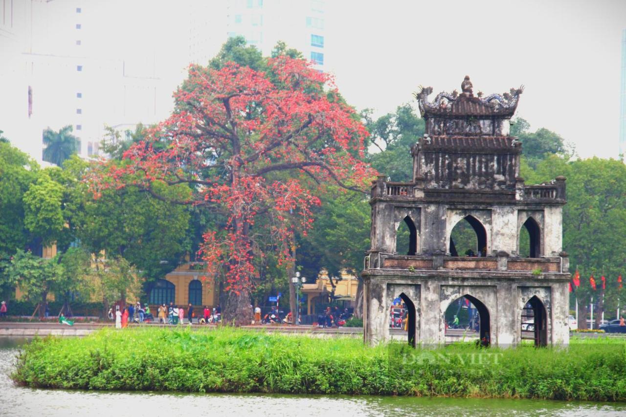 Bong Ha Noi Hostel Ανόι Εξωτερικό φωτογραφία